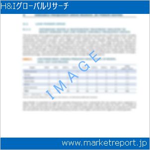 市場と産業調査レポートのイメージ